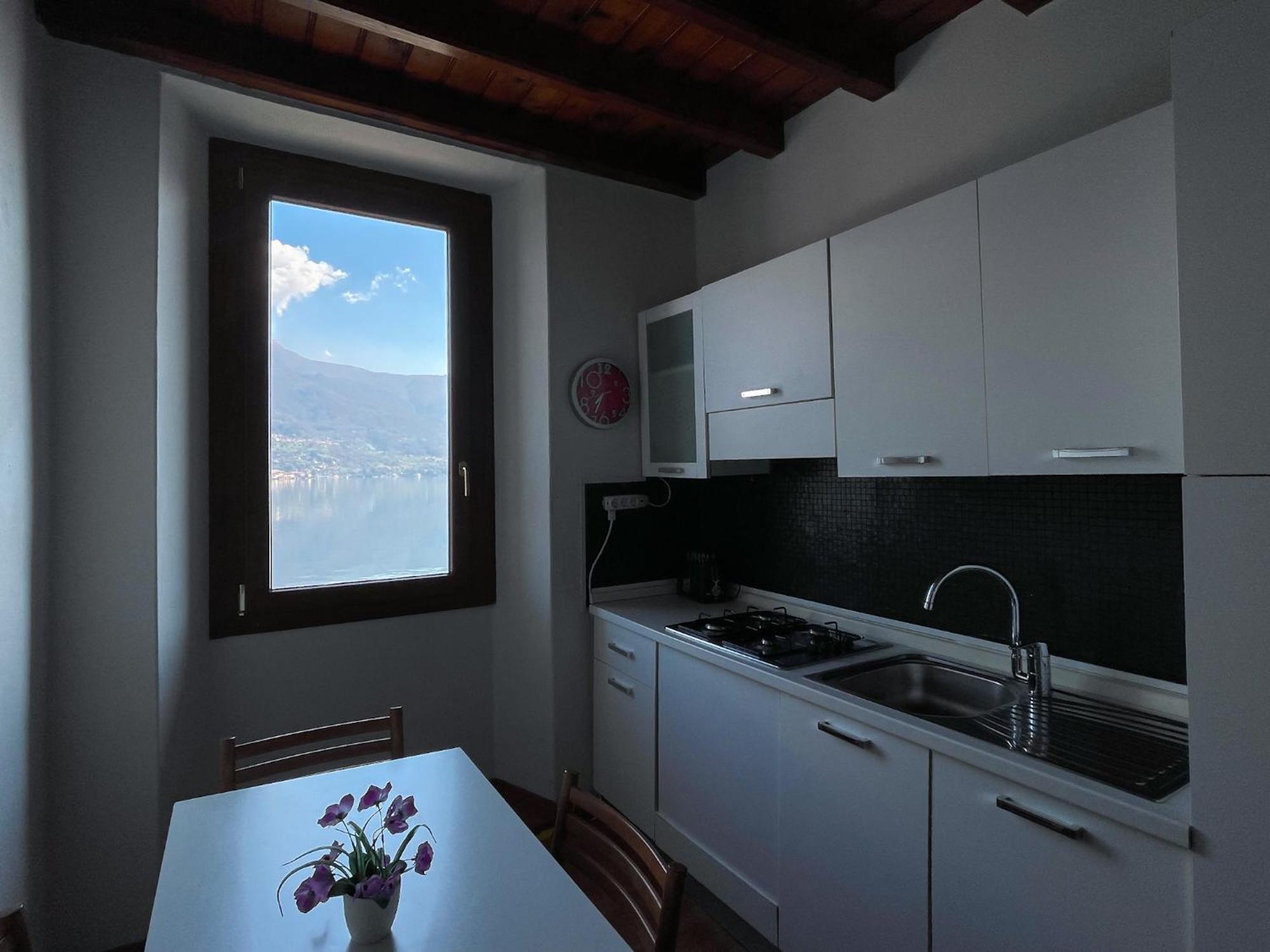 Renzo E Lucia Lake View Apartment Oliveto Lario Kültér fotó